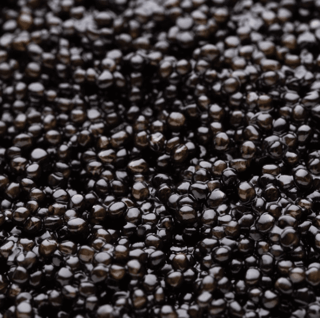 Caviar ruso Baerii